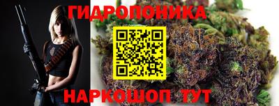 мдпв Жуковский