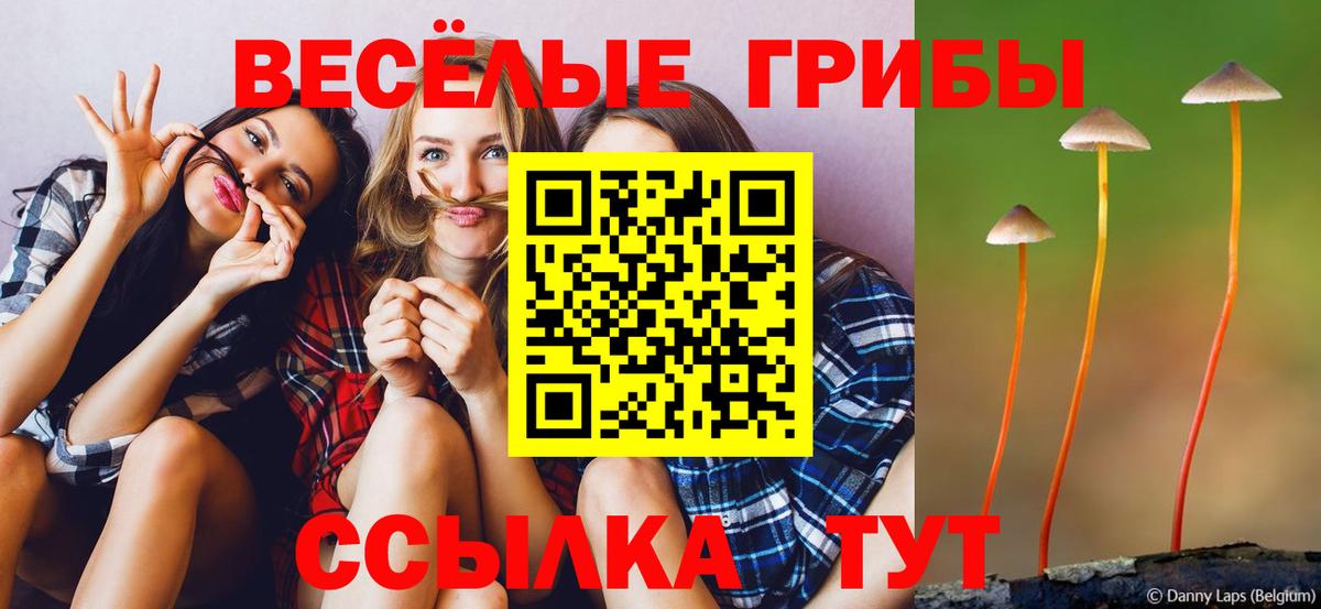 Псилоцибиновые грибы MAGIC MUSHROOMS  Вход с VPN  наркота  Менделеевск 