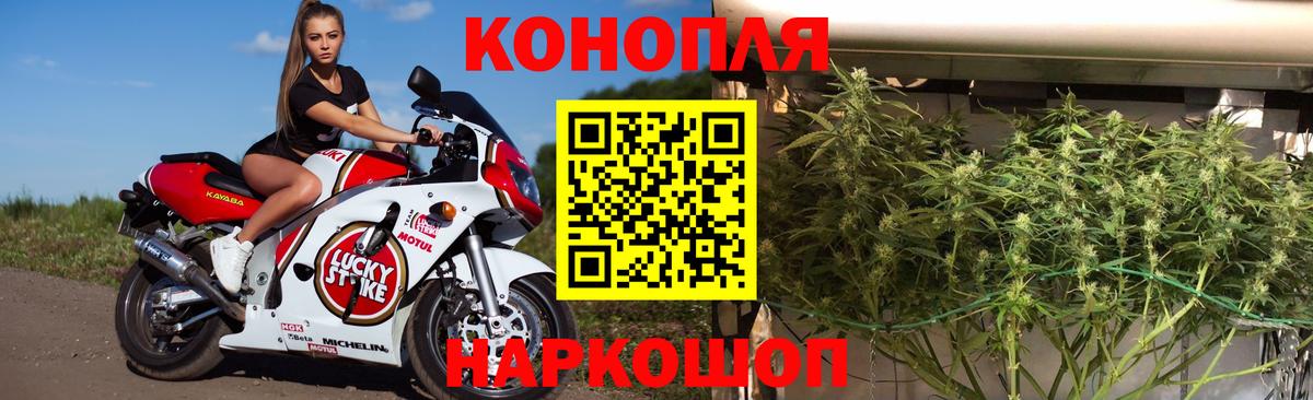 Менделеевск  Конопля VHQ  Вход с VPN  Марихуана планчик  Конопля сатива 